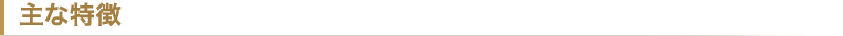 主な特徴
